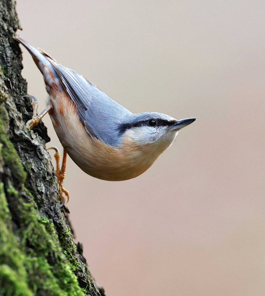 Marley worker in van